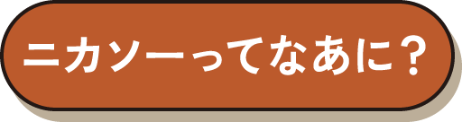 ニカソーってなあに？